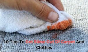 10 Tips To Get Slime Out Of Carpet And Clothes