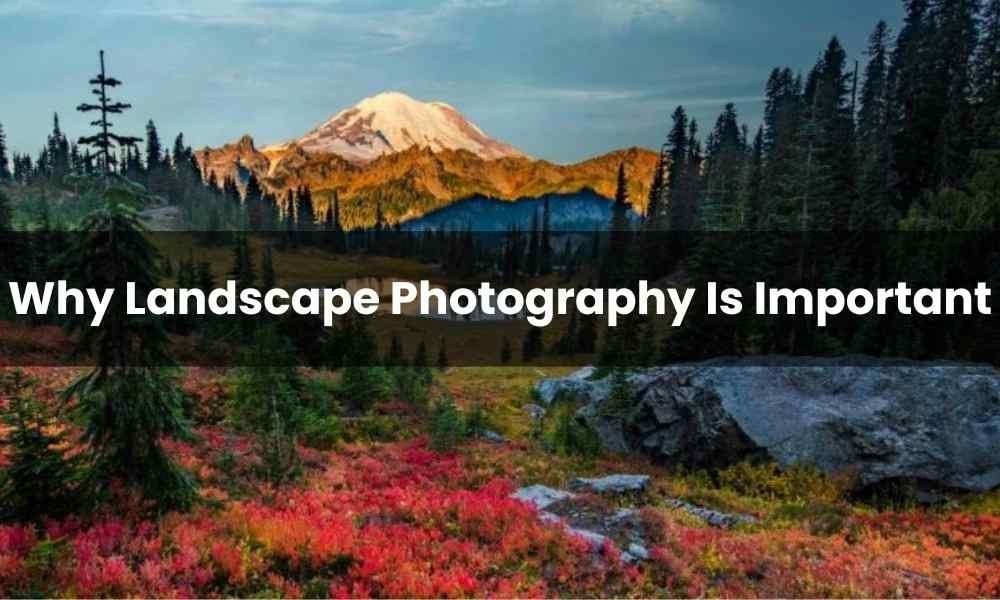 Why Landscape Photography Is Important